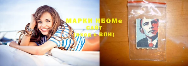 ГАЛЛЮЦИНОГЕННЫЕ ГРИБЫ Горно-Алтайск