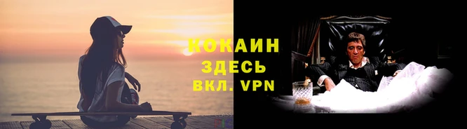 меф Вяземский