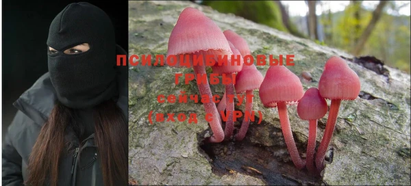 тгк Вязники